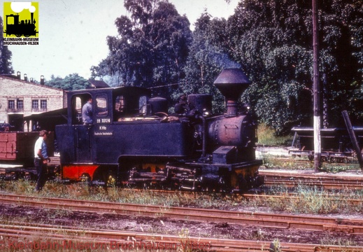 DR, Waldeisenbahn Muskau