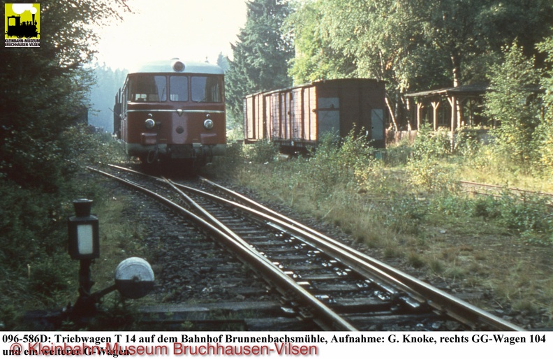 096-586D,T14,Bf-Brunnenbachsm,Aufn-G-Knoke.jpg