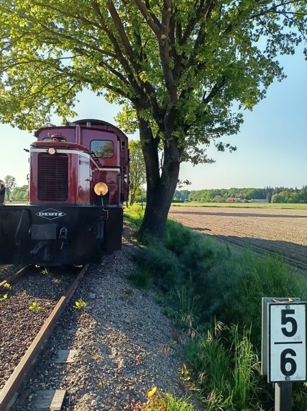 009 Der Viehwagen, als Fahrzeug mit der größten Umgrenzung, passt überall gut durch!<br />Foto Eike A.