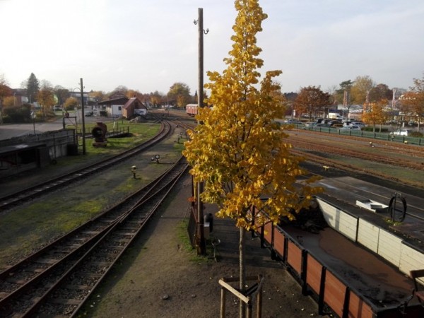 2018-11-09; Museumseisenbahn 001.jpg