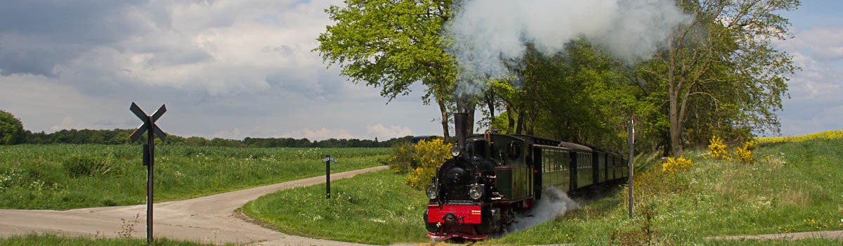 Fahren mit Dampfzügen